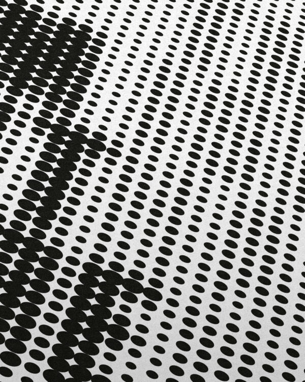 Disappear - Image 2
