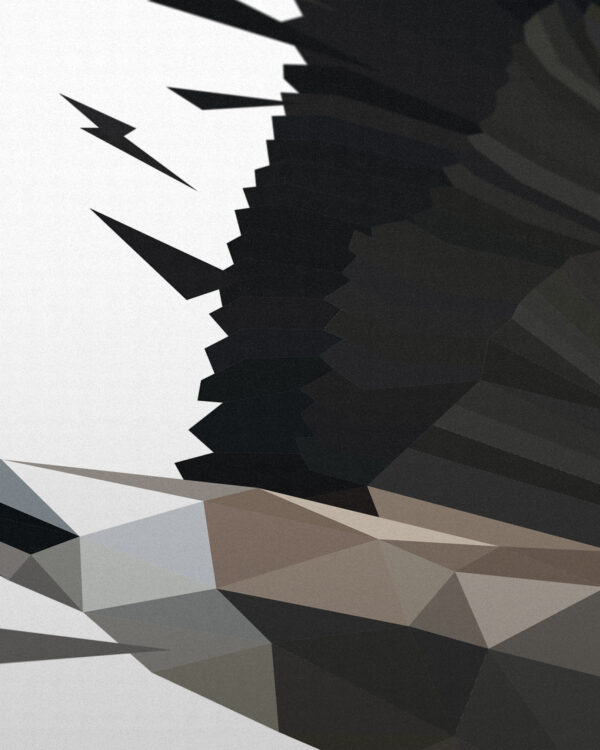 Migration - Image 2