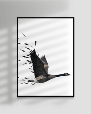 Migration