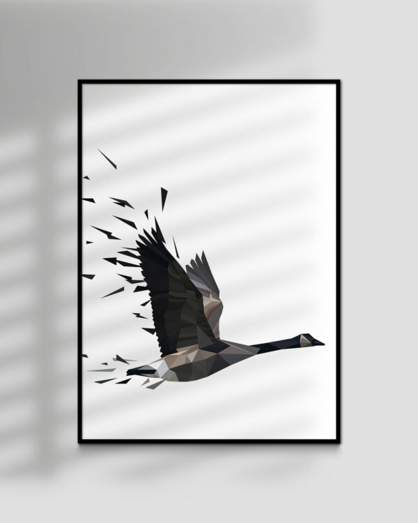 Migration