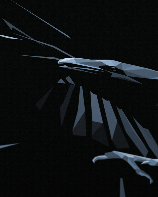Shadow - Image 2